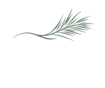 filaos-bichrome-2